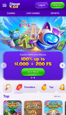 RoboCat Casino Screenshot RoboCat Casino Screenshot