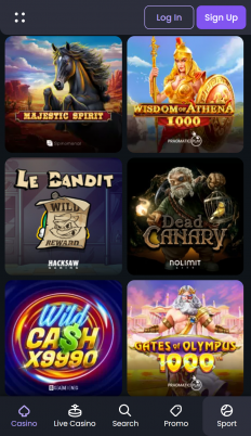 SpinyBet Screenshot SpinyBet Screenshot