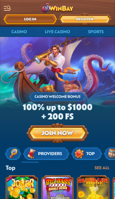 WinBay Casino Screenshot WinBay Casino Screenshot